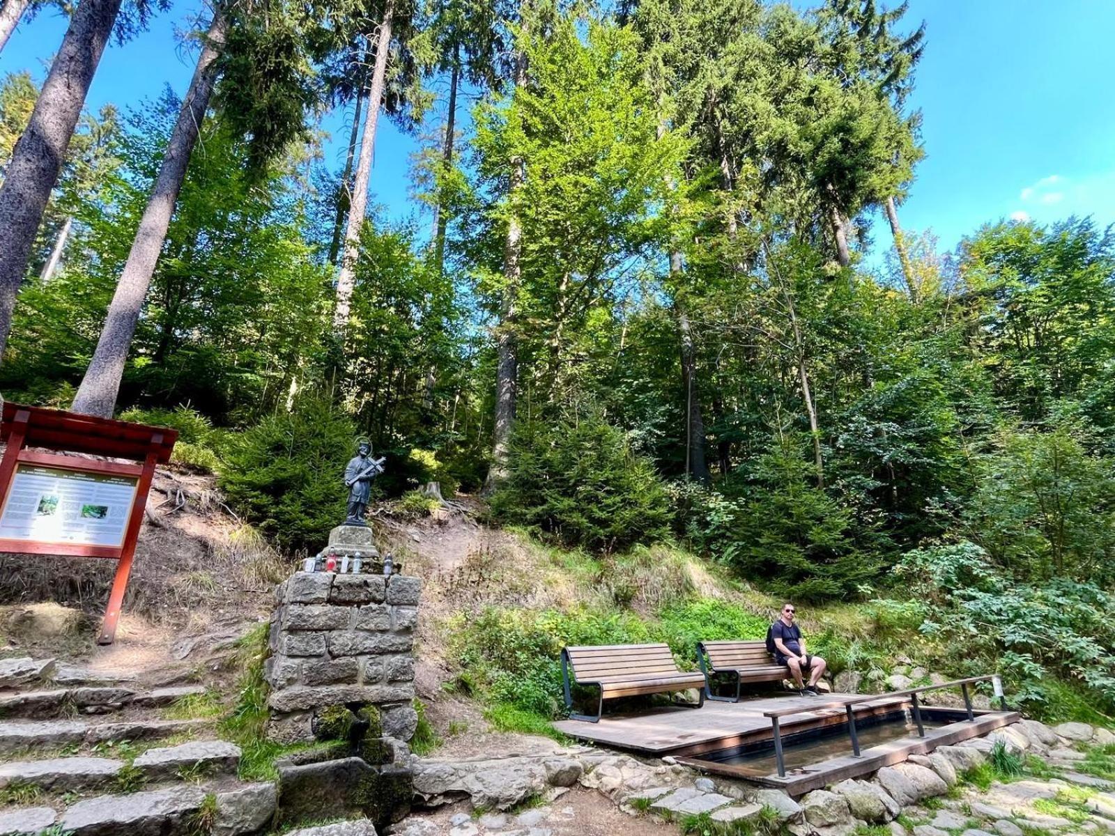 Resident A001 Harrachov